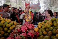 Festival Bunga dan Buah...