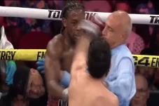 Davis vs Madueno Memanas,...