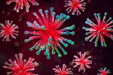 10 Virus Paling Mematikan...