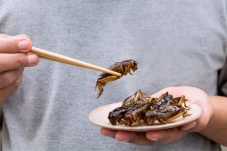 Pemerintah Singapura...