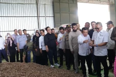Indonesia Kirim Pinang...