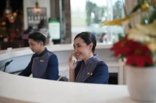 Sektor Gaya Hidup Menggeliat,...