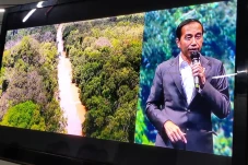 Investor IKN Dapat HGU...