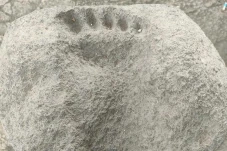 Batu Tapak Kaki Raksasa...