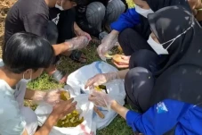 Inovasi Baru, Mahasiswa...