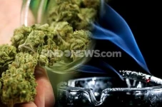Bawa Ganja 30 Kg, Bandar...