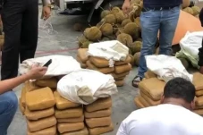 Sita 30 Kg Ganja dari...