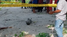 Heboh! Pemulung Temukan...