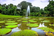 7 Tempat Wisata di Bogor...
