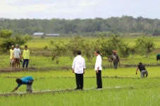 Jokowi dan Iriana Tinjau...