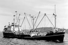 Lenyap Misterius 55...