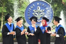 Ini Profil Kecerdasan...