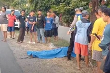 Buruh Angkut Gabah di...