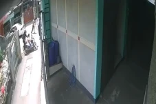 Maling Motor di Bekasi...