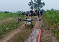 Petani di Lebak Gunakan...