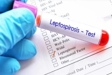 Mengenal Leptospirosis,...