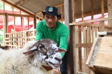 Balai Ternak Baznas...