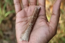 Bukan Mitos, Tulang...
