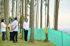 Presiden Jokowi Gelar...
