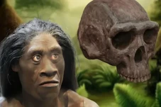 5 Fakta Menarik Manusia...