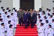 DMDI Indonesia: Anggota...
