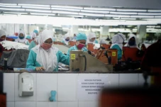 Tumbuh 3,1%, Penerimaan...
