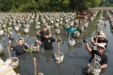 Rayakan HUT Ke-79 RI,...