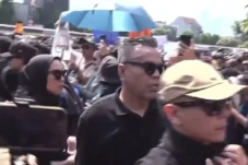 Para Artis Ikut Demo...