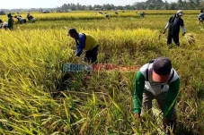 Masyarakat Indonesia...