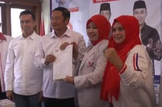 Pilkada Lamongan, Partai...