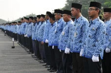 Pendaftaran CPNS 2024...