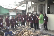 BPDPKS Salurkan Ribuan...