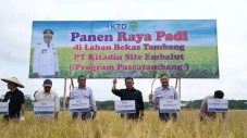 Panen Raya di Lahan...