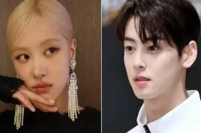 Fakta-fakta Cha Eun...