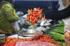 Harga Pangan Kompak...
