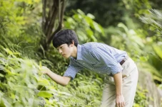 Pangeran Hisahito Jadi...