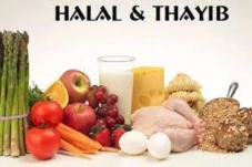 Makanan Sehat = Halal...