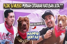 Kolaborasi Seru Robby...