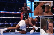 Kebangkitan Daniel Dubois:...
