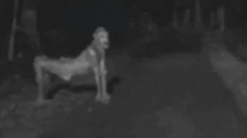 Makhluk Misterius yang...