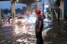 2 Pohon Tumbang Akibat...
