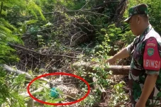 Warga Kelapa Nunggal...