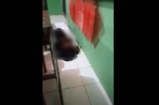Miris! Pelajar Bersetubuh...