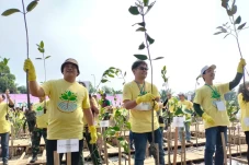 5.000 Pohon Bakau Ditanam,...