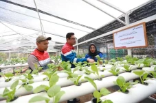 Inovasi Sosial PHE Jambi...