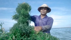 Pemberdayaan BRI Tingkatkan...