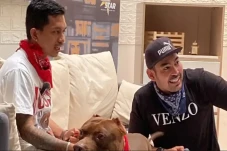 Dari Pitbull ke Bulldog,...