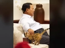 Seperti Prabowo, 12...