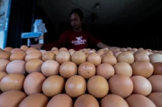 Contoh Peribahasa Menggunakan...