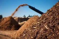 Reforestasi Lahan Kritis,...